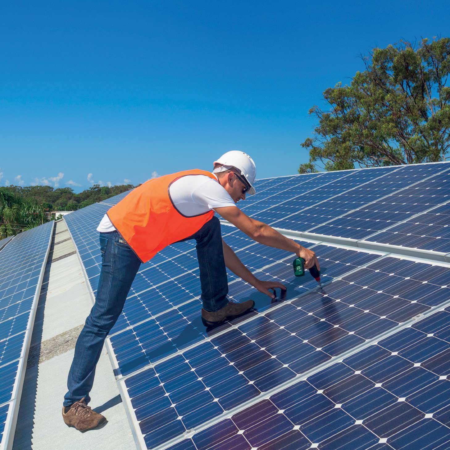 Odoo • Image and Text